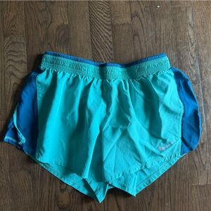 Nike Teal and Blue Athletic Shorts